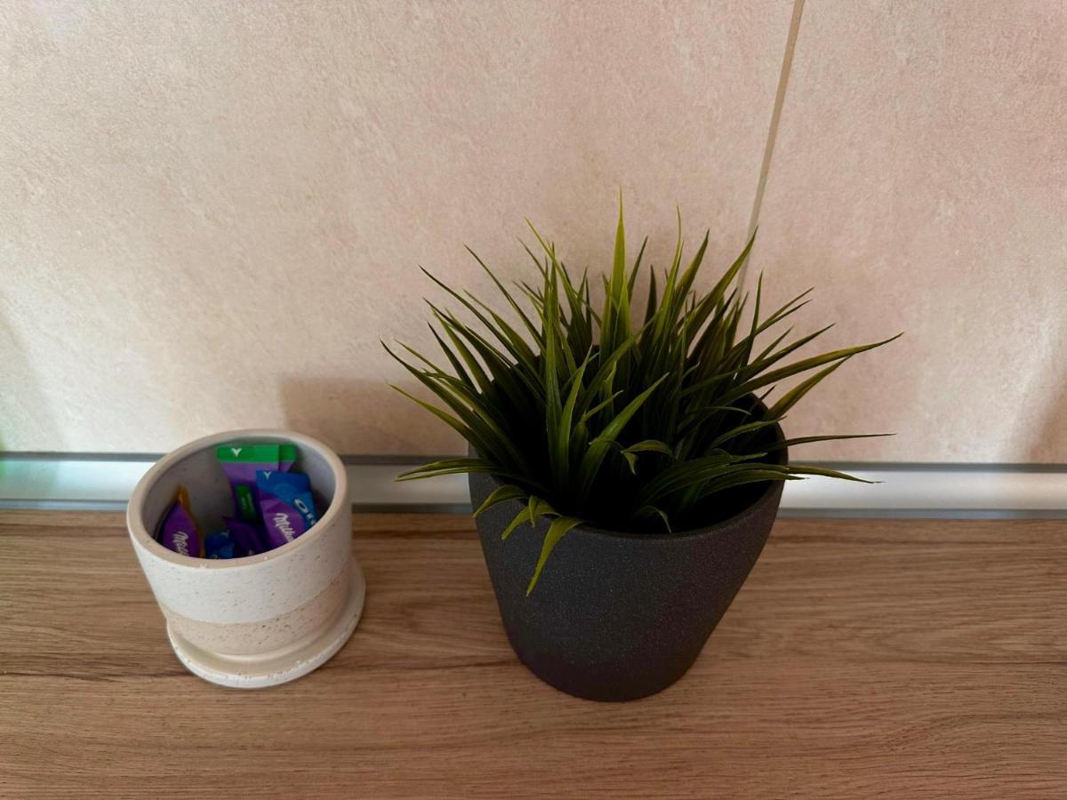 Cozy Apartment With Self Check-In Near Promenada Mall And Verdi Park Bucarest Extérieur photo
